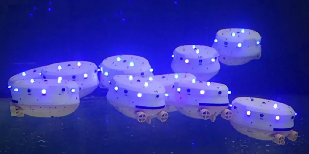 Pesci robot ed anche tartarughe