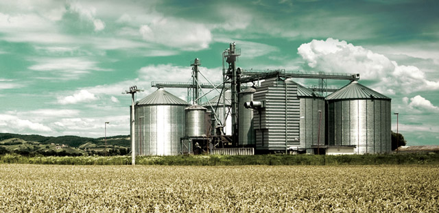 Biocarburanti e biofuel come grande banco di prova per la sostenibilità
