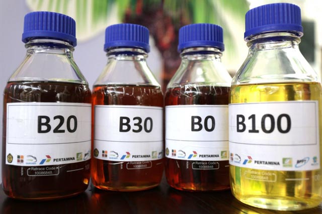 Biofuel derivato dalla palma da olio a caro prezzo ambientale e climatico