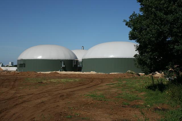 Vantaggi e svantaggi dei biocarburanti da considerare anche nel caso del biogas