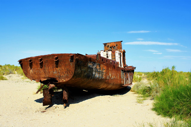 Le prospettive per il futuro del lago d'Aral sono legate anche ai microrgansmi residenti