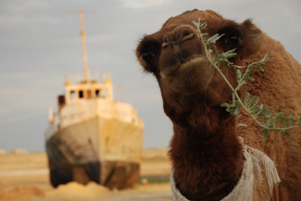 Lago d'Aral e varie tipologie di navi che solcano le sue sabbie