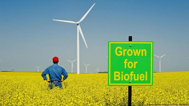 Biofuel ed eccezioni perché non tutto può diventare biocombustibile