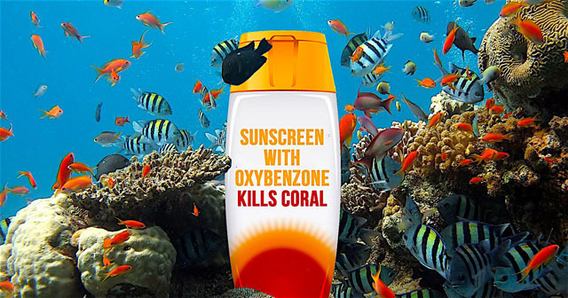 I prodotti a base di ossibenzone sono una grave minaccia per le barriere coralline ed anche per la grande barriera corallina australiana