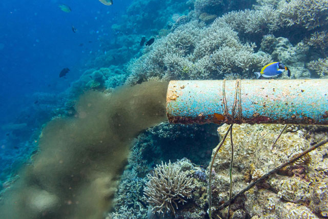 L'inquinamento da scarichi diretti è un problema molto grave per le barriere coralline - immagine Ocean Sewage International