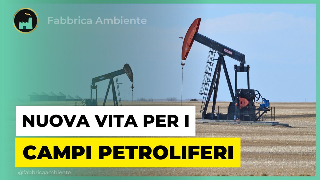 Campi petroliferi che rinascono dopo il termine delle attività