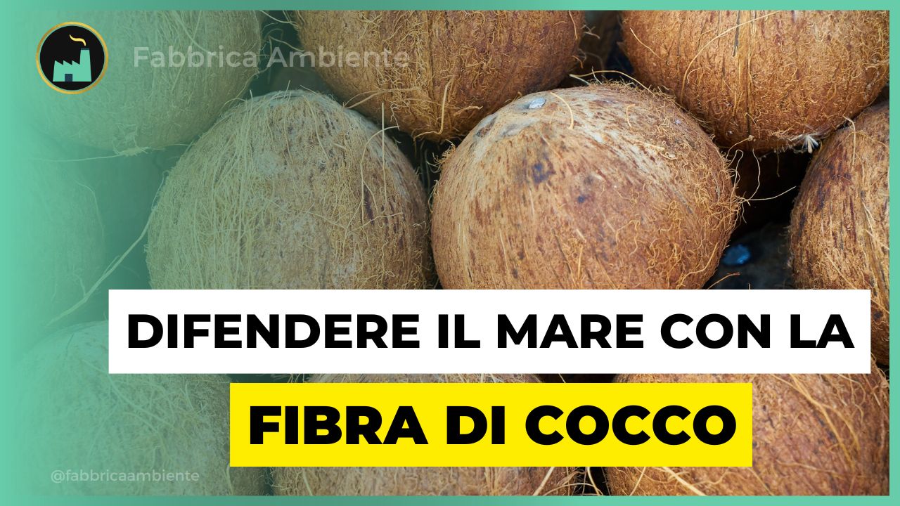 Fibra di cocco per difendere il mare dal petrolio