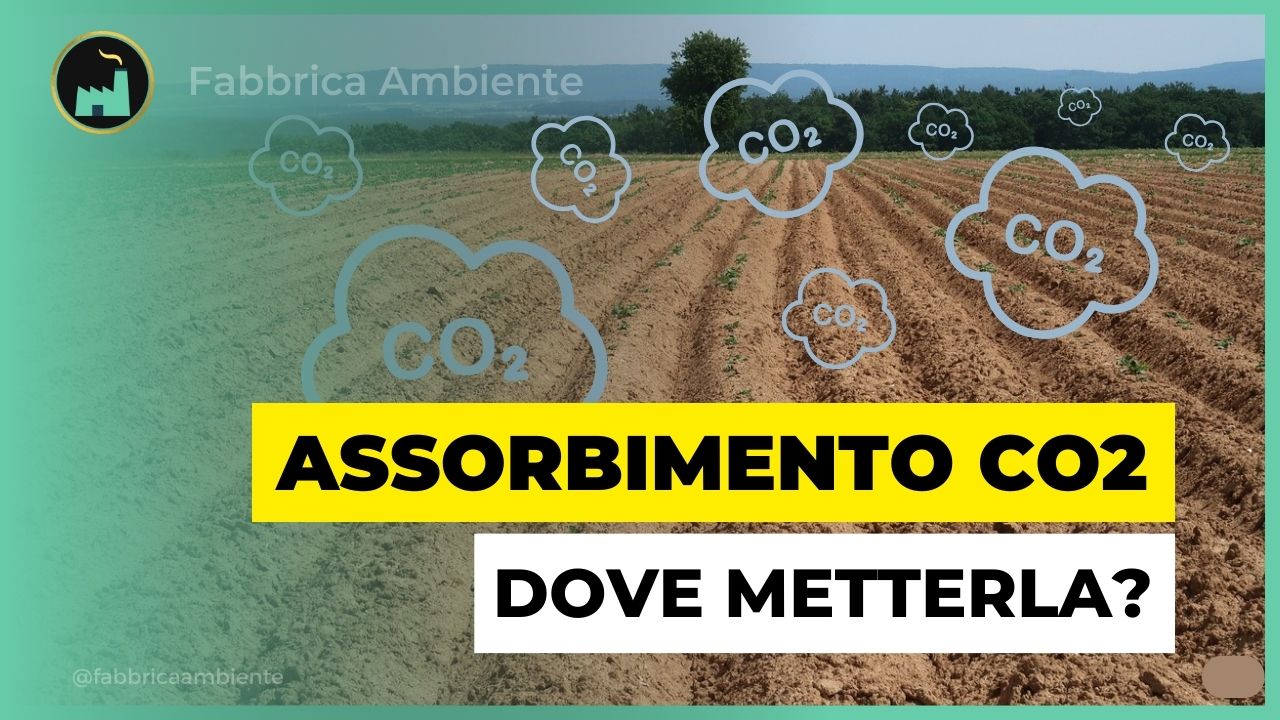 Assorbimento CO2 grazie al Biochar