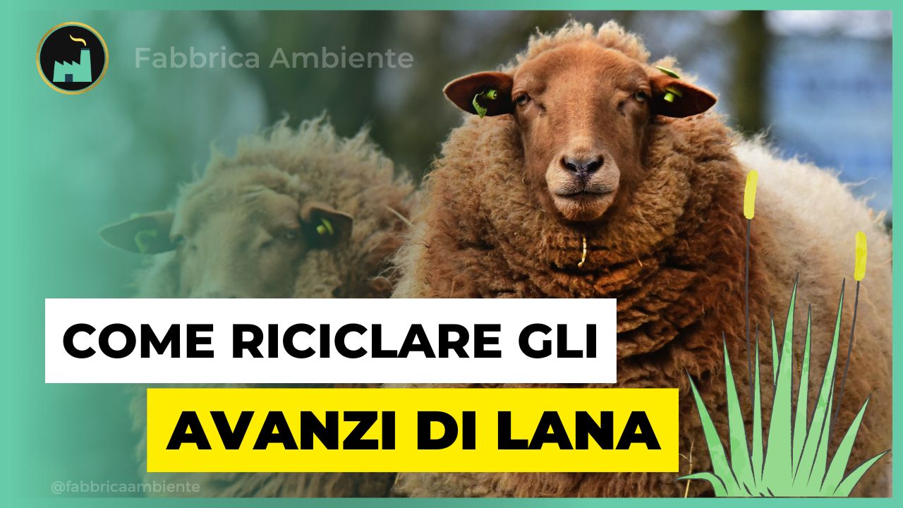 Avanzi di lana quando sono utili per proteggere l'ambiente