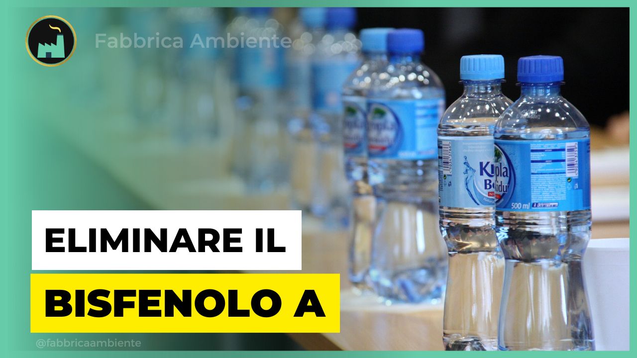 Eliminare il Bisfenolo A in modo naturale