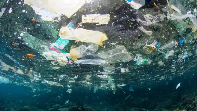 Come appaiono le isole di plastica nel mare da sotto la superficie dell'acqua - immagine GizModo