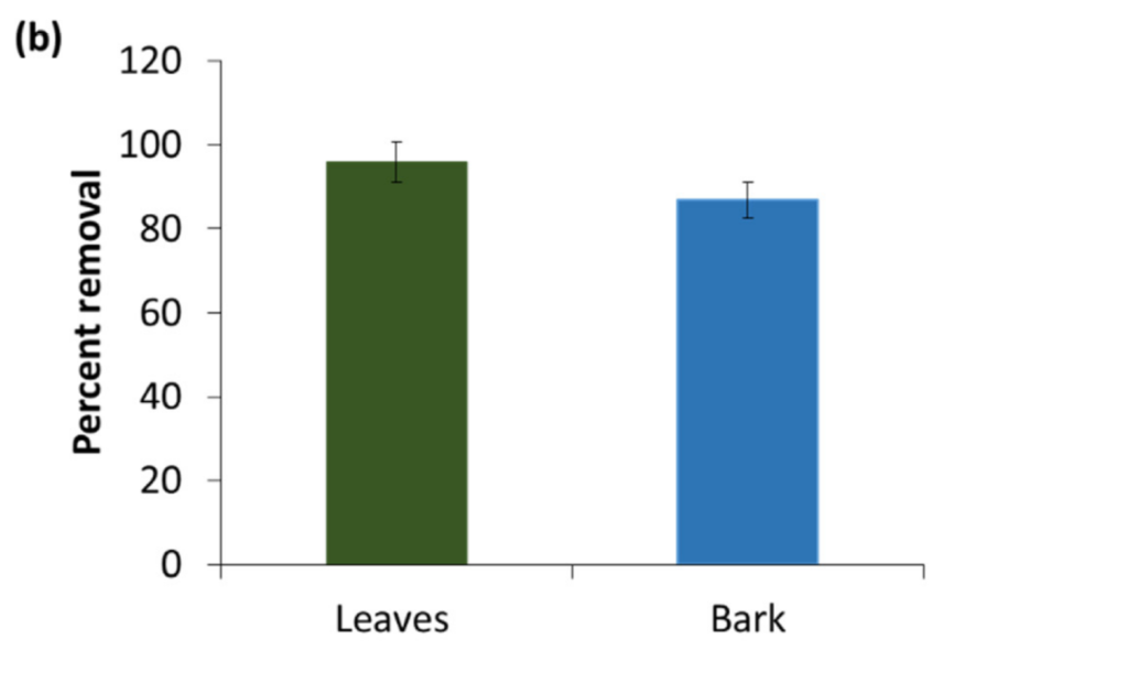 Grafico raffigurante l'assorbimento dei coloranti da parte delle foglie di fico e della corteccia