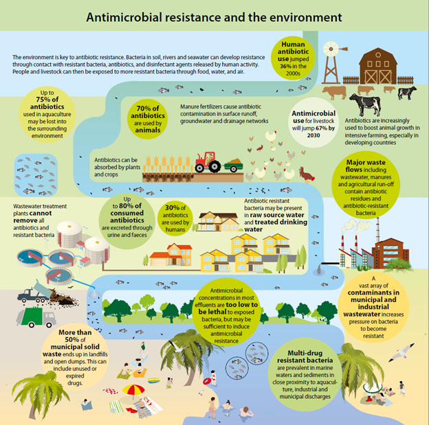 Infografica sul rapporto tra antibiotico resistenza ed ambiente - immagine Geneva Environment Network