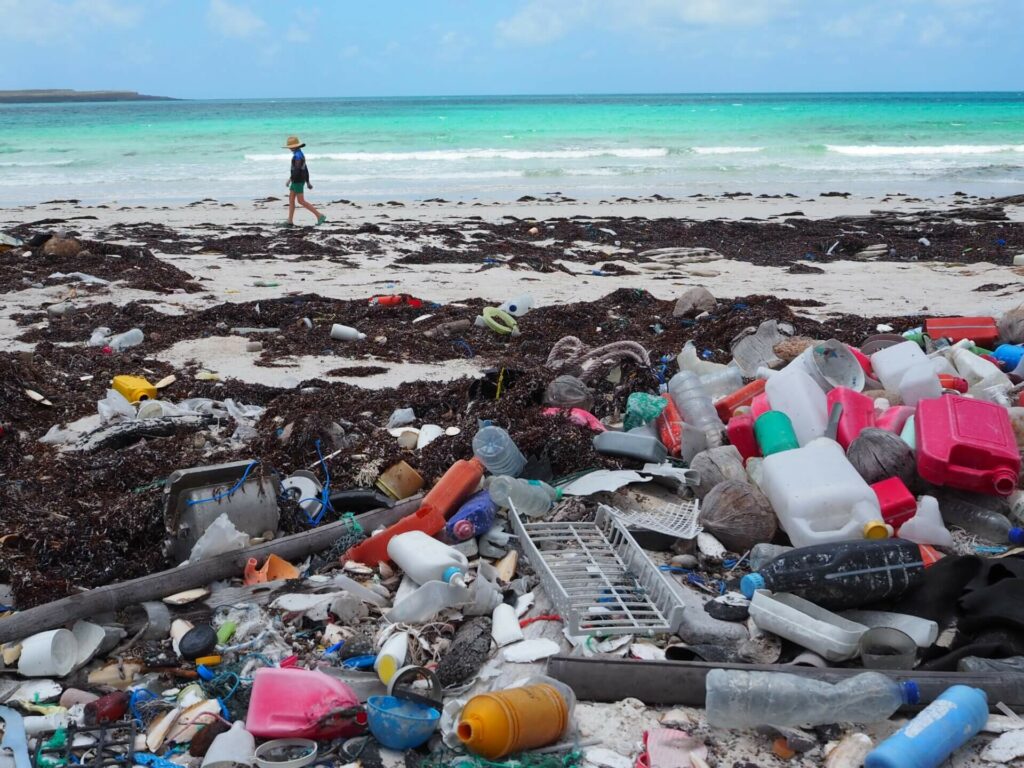Le isole di plastica veicolano molti inquinanti e li portano sulle coste