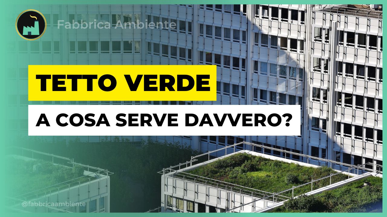 Tetto verde a cosa serve per davvero