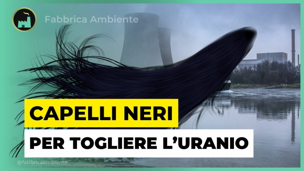 Capelli neri per assorbire l'uranio dall'acqua