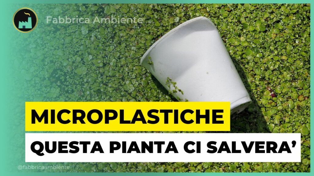 Microplastiche la minaccia quotidiana e come affrontarla