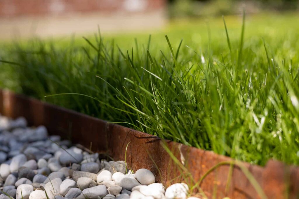 Anche la Festuca arundinacea è consigliata contro l'erosione del suolo - immagine Fabio Polo