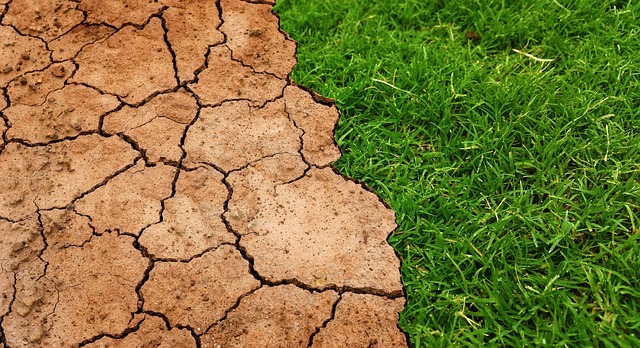 Contro il fenomeno dell'erosione di suolo si devono fare molti sforzi - immagine Tumisu @Pixabay