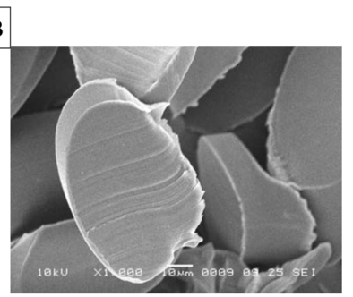 La struttura microscopica delle microplastiche di poliammide o nylon - immagine Barbro Gelbert @ResearchGate