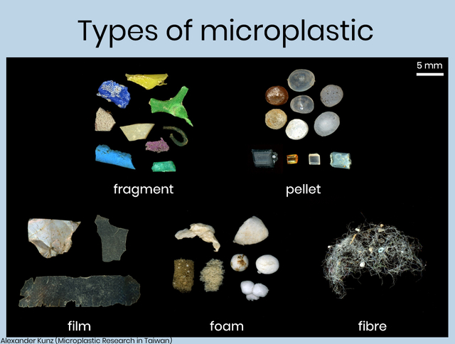 Queste forme di microplastiche possono variamente favorire la resistenza ai farmaci - immagine Alexander Kunz Microplastic Research in Taiwan