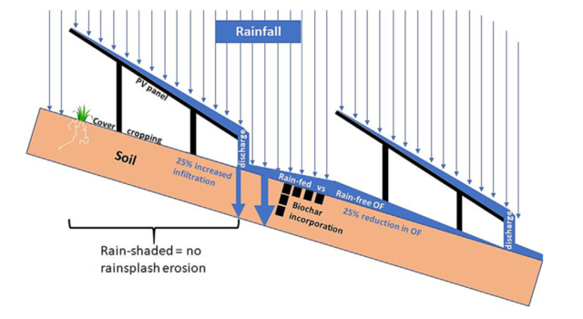 Uno schema grafico dell'effetto delle piogge su di un campo agrivoltaico con possibili conseguenze sull'erosione del suolo - immagine Università di Aveiro