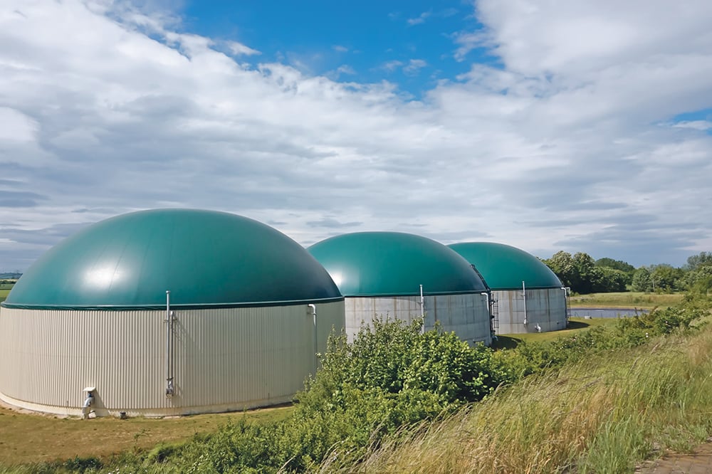 Verso l'impianto di biogas più ecologico di sempre - immagine Mantech 