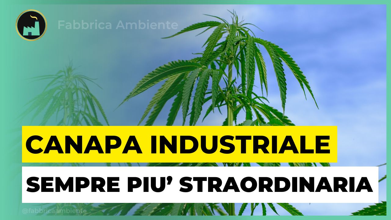 Canapa industriale per proteggere ambiente e salute alimentare