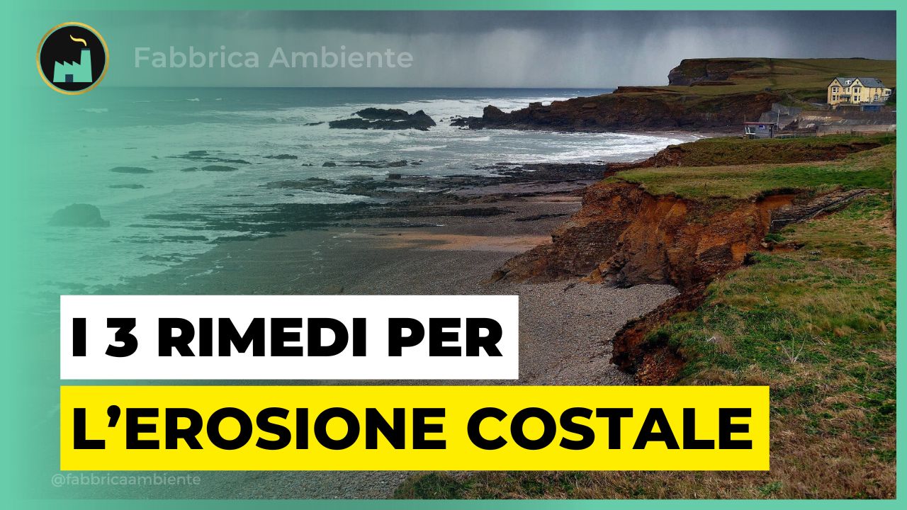 I 3 rimedi naturali per invertire l'erosione delle coste