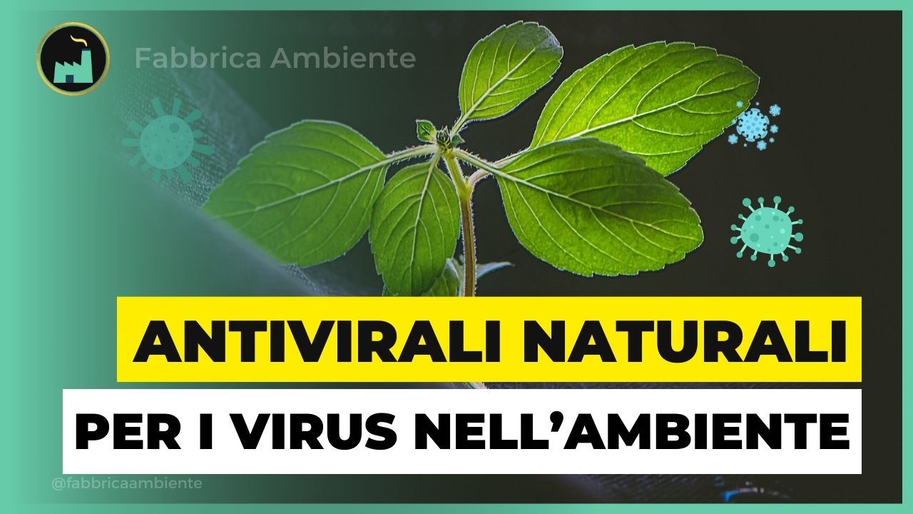 Antivirali naturali per i virus nell'ambiente