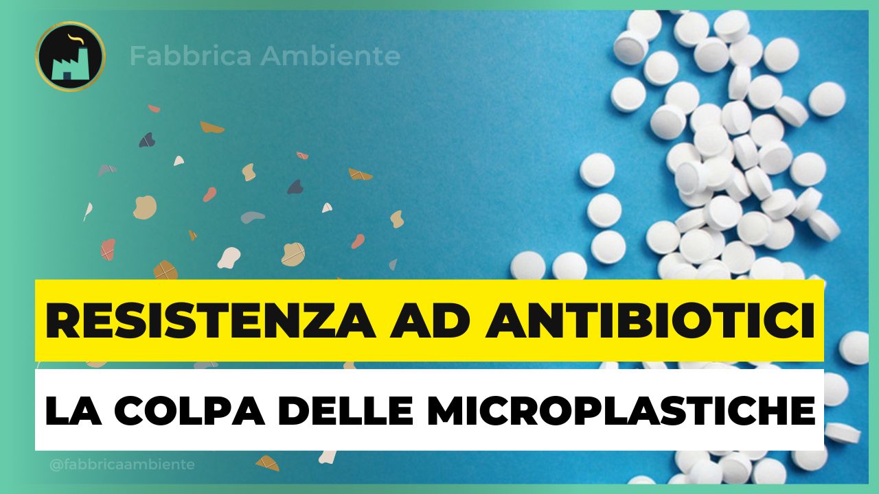 Le microplastiche contribuiscono ad aumentare il rischio di resistenza agli antibiotici