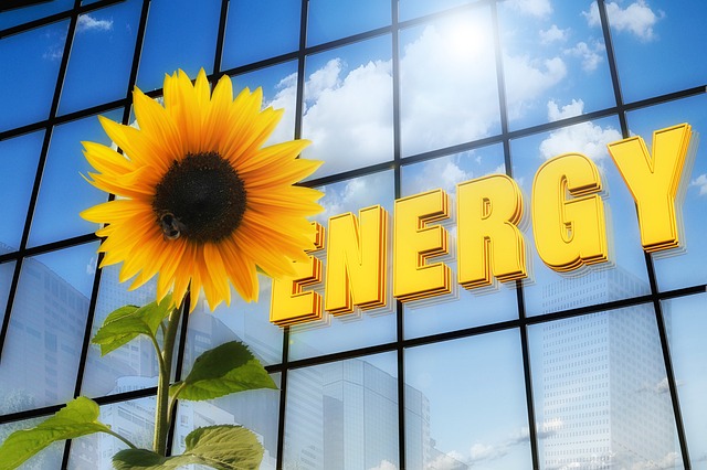 Girasoli per l'ambiente, girasoli per l'energia - immagine geralt @Pixabay