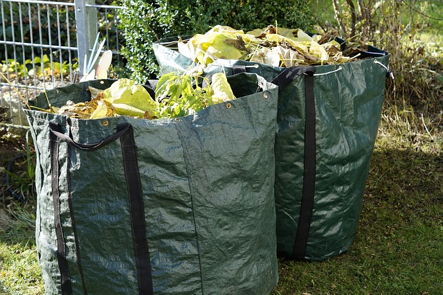 Il riciclo dell'organico, inclusi i rifiuti verdi, può avere un'altra importanza funzione ambientale - immagine Ephraimstochter @Pixabay