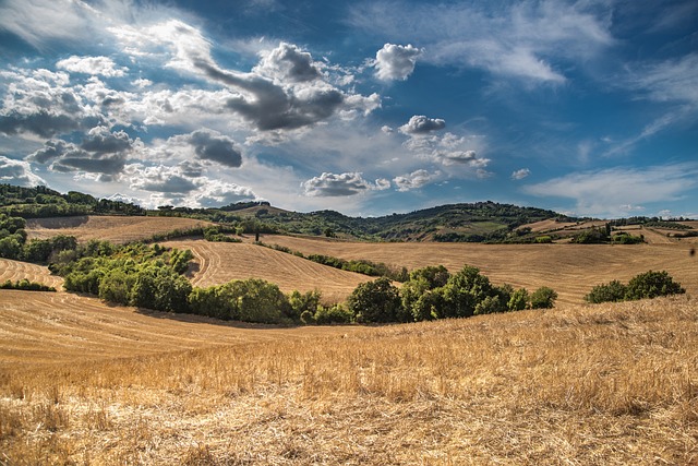 L'assorbimento della CO2 al suolo è una grande opportunità per contrastare gli effetti del cambiamento climatico - immagine Skitterphoto @Pixabay