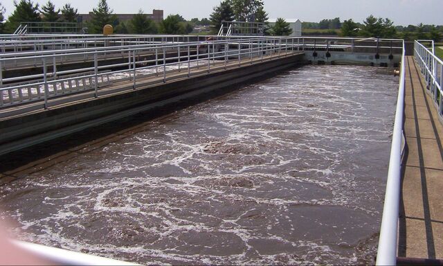 Le acque reflue dell'industria petrolchimica sono ricche di inquinanti organici e di metalli - immagine Biological Waste Treatment Expert