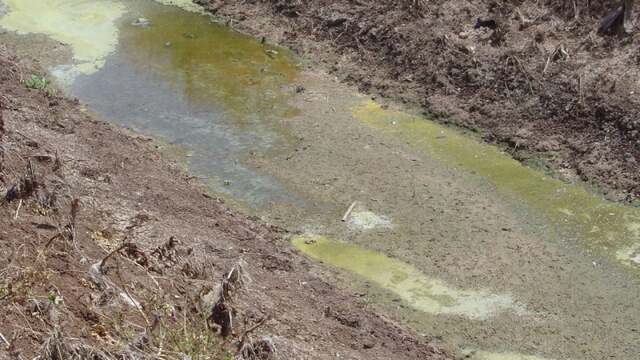 L'inquinamento da azoto e nitrati è un altro problema cui si può porre un rimedio grazie a questo compostaggio dei rifiuti - immagine Environmental Working Group