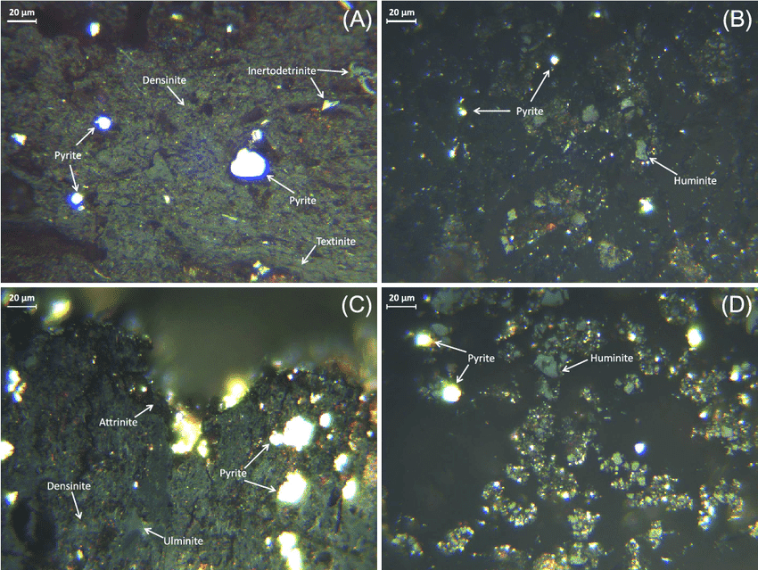 Particelle di pirite al suolo - immagine Shifeng Dai @ResearchGate