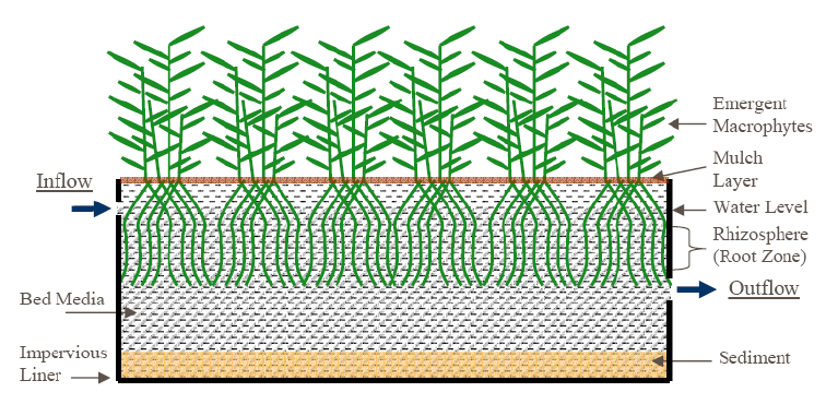 Uno schema delle zone umide a flusso orizzontale sotto-superficiale - immagine Kela P Weber @Research Gate