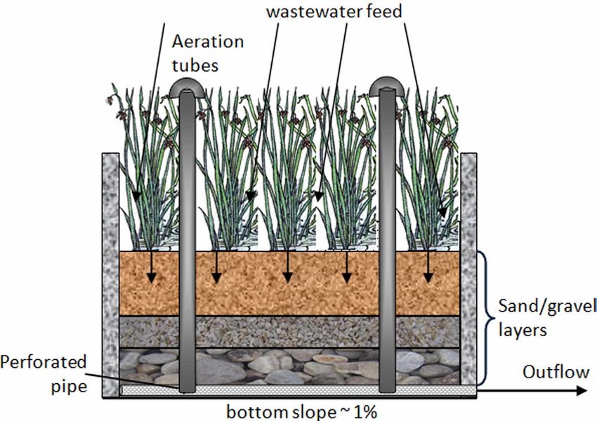 Uno schema delle zone umide artificiali a flusso verticale - immagine Alexandros I Stefanakis @Research Gate