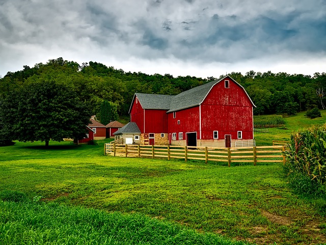 Verso un'agricoltura sempre più ecologica - immagine 12019 @Pixabay