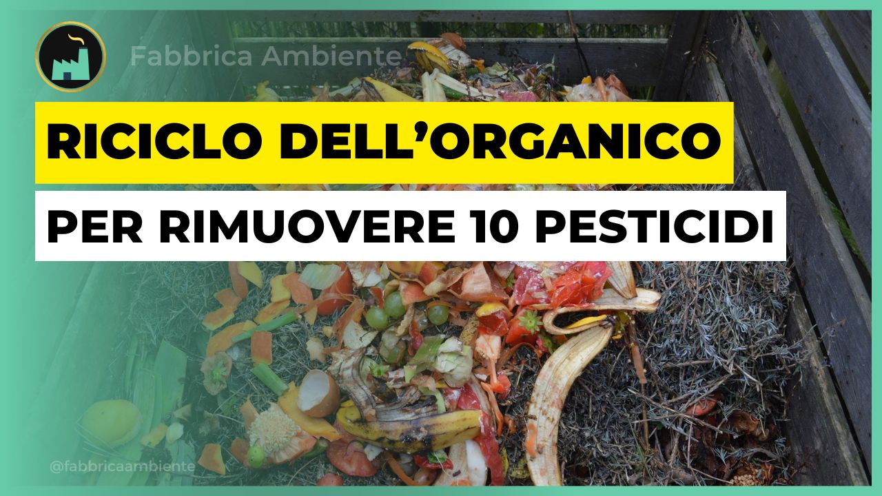 Il riciclo dell'organico può diventare ancora più utile per l'ambiente ed il clima 