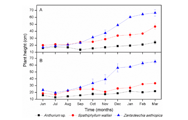 Grafico rappresentante la crescita delle tre piante floreali lungo l'arco di tempo all'interno del depuratore acque reflue - immagine Istituto Tecnologico Nazionale del Messico