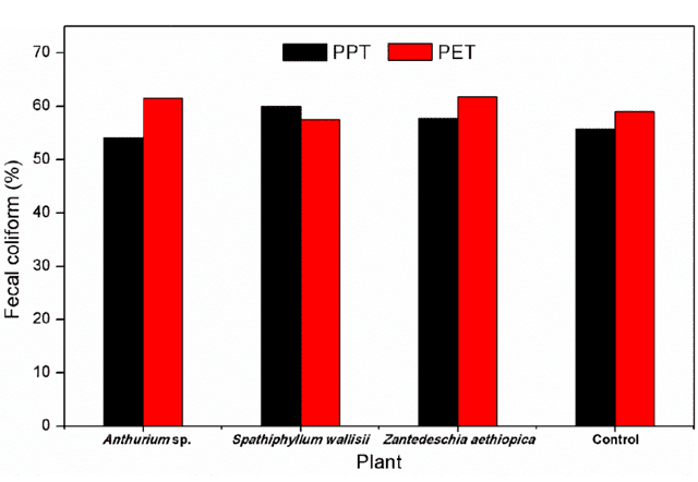 Grafico rappresentante la rimozione percentuale dei batteri coliformi fecali - immagine Istituto Tecnologico Nazionale del Messico