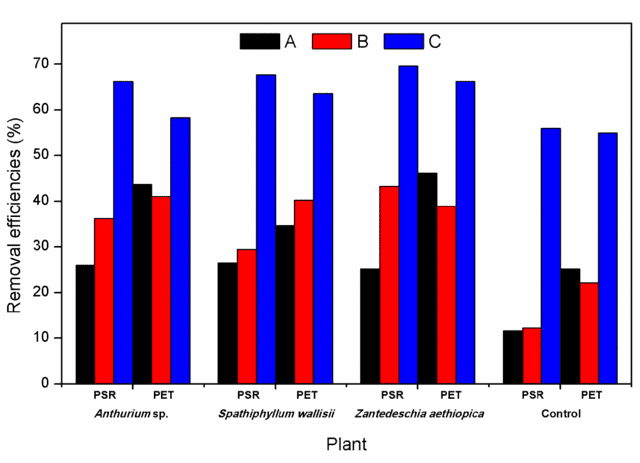 Grafico rappresentante l'efficienza di rimozione dei vari inquinanti da parte delle piante (il nero sono i fosfati, il rosso i nitrati ed il blu la BOD) - immagine Istituto Tecnologico Nazionale del Messico