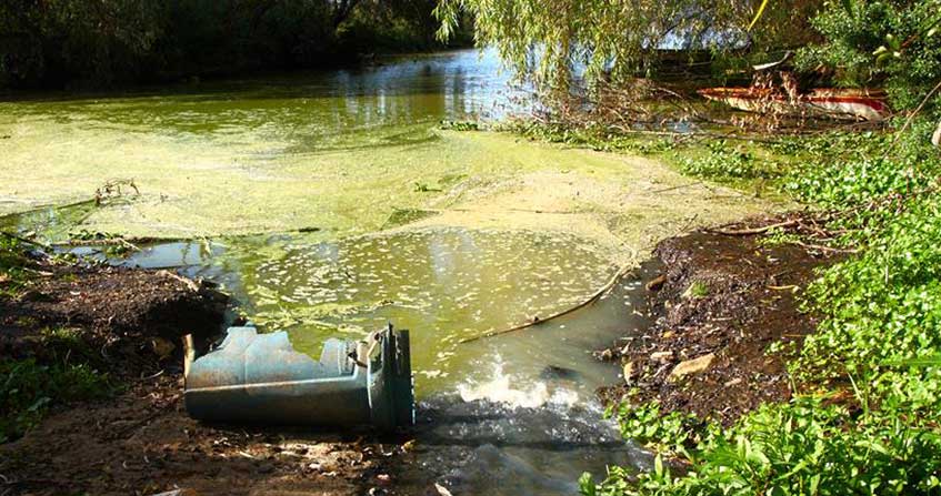 Un tipico caso di eutrofizzazione delle acque - immagine Enciclopedie de l'Environnement
