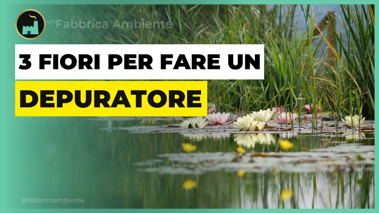 Depuratore acque reflue fatto con 3 fiori, super-ecologico e conveniente