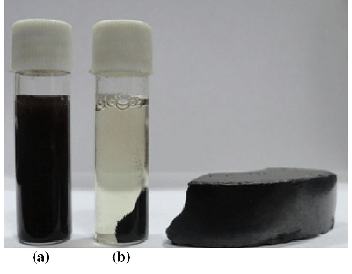 Le nanoparticelle di magnetite hanno un ruolo importante - immagine Daniel Kiruba @ResearchGate