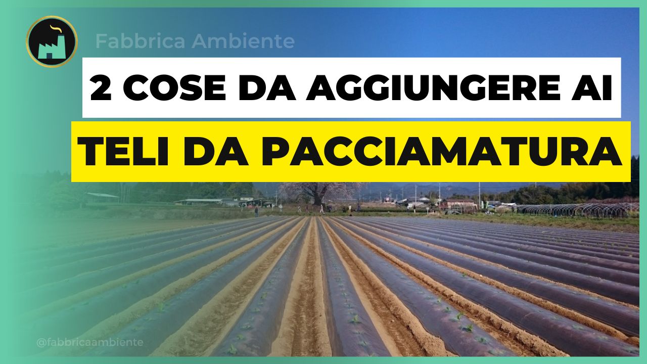 Teli da pacciamatura come potenziale rischio per l'agricoltura e come risolvere la situazione