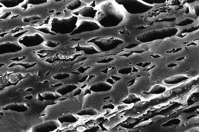 La struttura microscopica dei carboni attivi utili per immobilizzare le sostanze perfluoroalchiliche - immagine CPL Activated Carbons