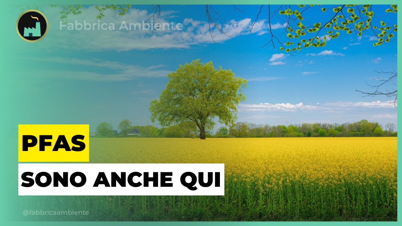 Sostanze perfluoroalchiliche immobilizzate al suolo grazie a 4 diversi assorbenti